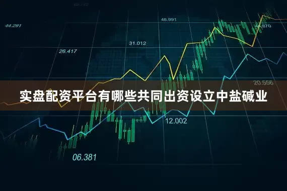 实盘配资平台有哪些共同出资设立中盐碱业