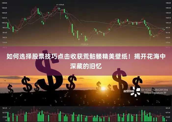 如何选择股票技巧点击收获荒骷髅精美壁纸！揭开花海中深藏的旧忆