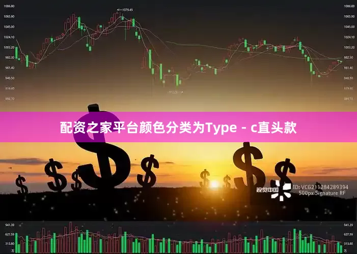 配资之家平台颜色分类为Type - c直头款