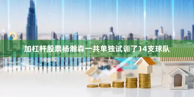 加杠杆股票杨瀚森一共单独试训了14支球队