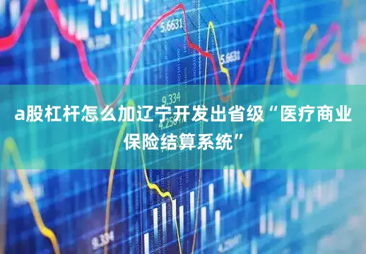 a股杠杆怎么加辽宁开发出省级“医疗商业保险结算系统”