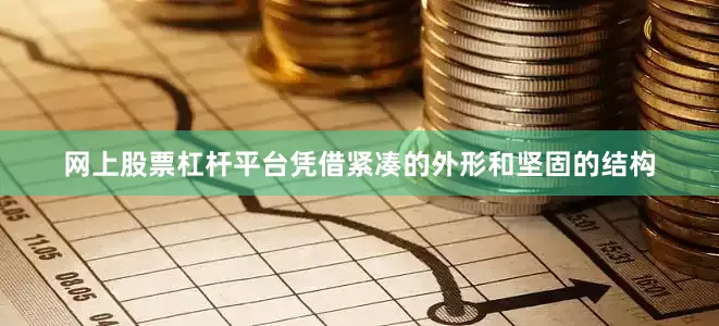 网上股票杠杆平台凭借紧凑的外形和坚固的结构