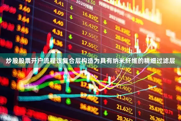 炒股股票开户流程该复合层构造为具有纳米纤维的精细过滤层